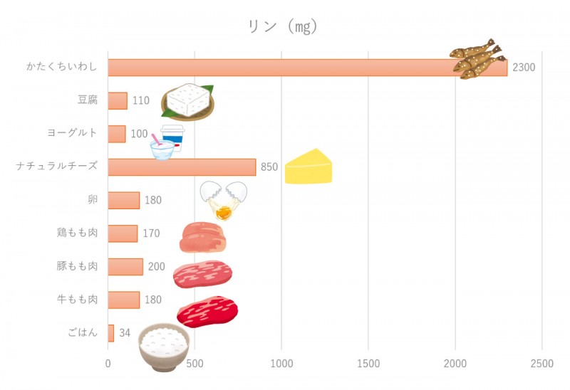 [コラム]リンの値が高いとどうなる？ ～リンの基礎知識～ | 透析食.com 管理栄養士が全レシピ考案！透析患者さん向け食事療法総合サイト
