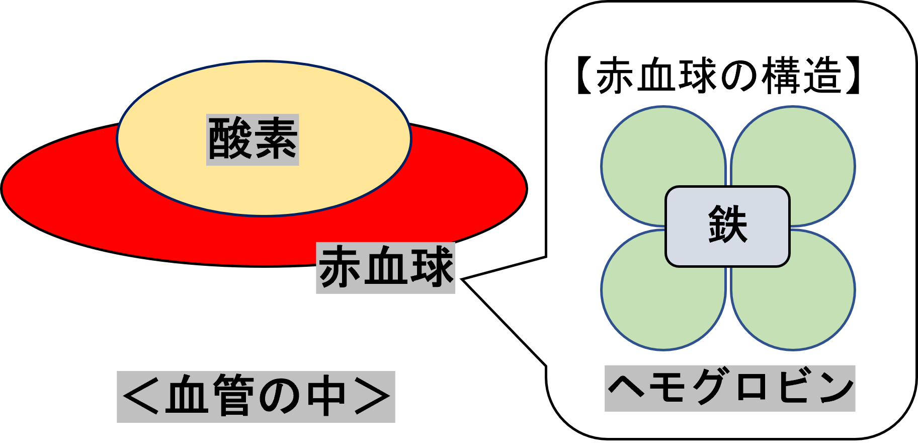 おはよう日本 アナウンサー 森田