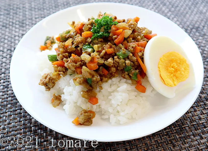 和風ドライカレー