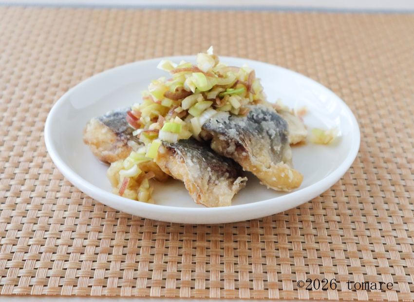 トップページ | 透析食.com 管理栄養士が全レシピ考案！透析患者さん